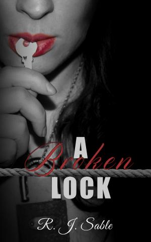 Cover of the book A Broken Lock by Ally Love