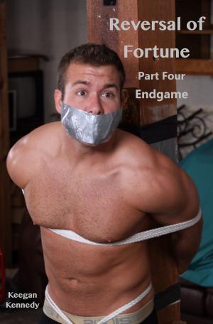 Book cover of Reversal of Fortune: Part Four: Endgame