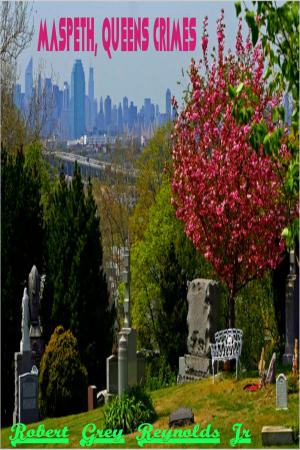 bigCover of the book Maspeth, Queens Crimes by 