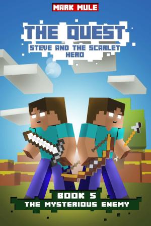 Cover of the book The Quest: Steve and the Scarlet Hero, Book 5: The Mysterious Enemy by D.C. Chagnon