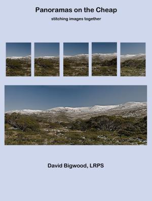 Cover of the book Panoramas on the Cheap by David Bigwood