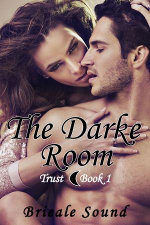 Book cover of The Darke Room