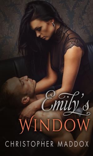 bigCover of the book Emily's Window by 