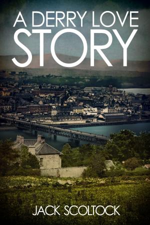 Cover of the book A Derry Love Story by James J. Deeney