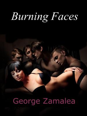 Cover of the book Burning Faces by D. D. Story
