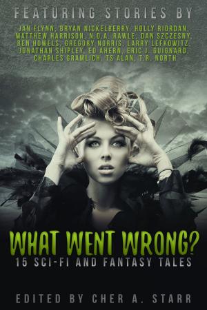 Cover of the book Legendary Stories: What Went Wrong? by Diana Marie DuBois