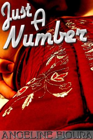 Cover of the book Just A Number (Age Gap Erotica Bundle) by Seth Daniels