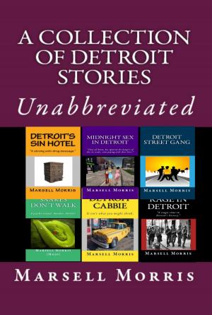Cover of the book A Collection of Detroit Stories by Marsell Morris