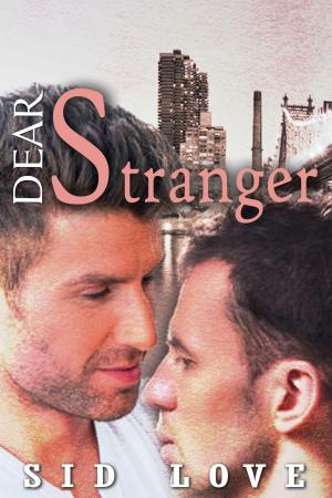 Cover of the book Dear Stranger by Chris Quinton