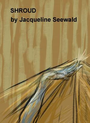 Cover of the book Shroud by Megan Payne