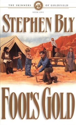 Cover of the book Fool's Gold by J. Kathleen Cheney