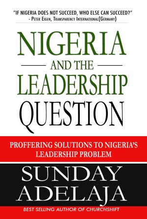 Book cover of Nigeria and the Leadership Question