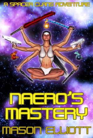 Cover of the book Naero's Mastery by Paul J. Horten