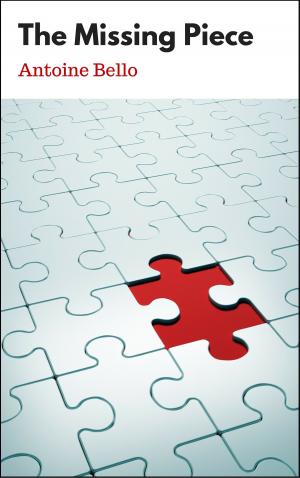 Cover of the book The Missing Piece by Antoine Bello
