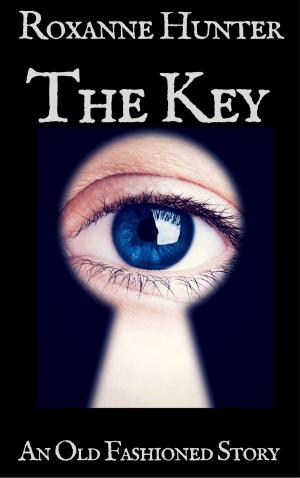 Cover of the book The Key by Maggie Thom