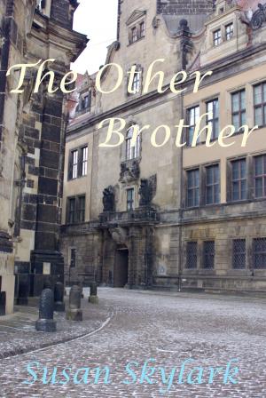 Cover of the book The Other Brother: A Chronicles of the Brethren Boxed Set by matt crowe