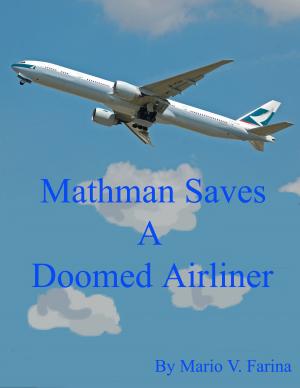 Book cover of Mathman Saves A Doomed Airliner