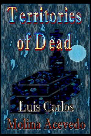 bigCover of the book Territories of Dead by 