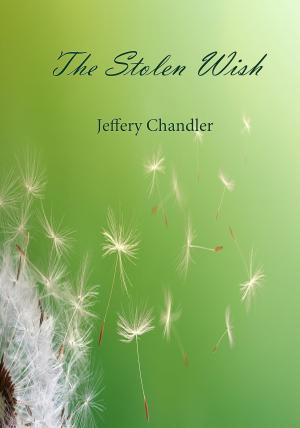 Cover of the book The Stolen Wish by Yvonne Lindsay