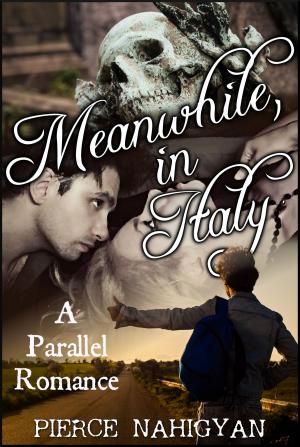 Book cover of Meanwhile, in Italy: A Parallel Romance