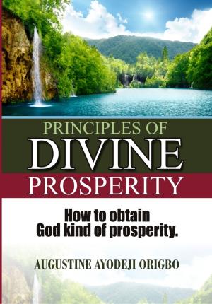 Cover of the book Principles Of Divine Prosperity. by Precious C. Godson