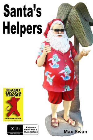 Cover of the book Santa's Helpers by Max Swan