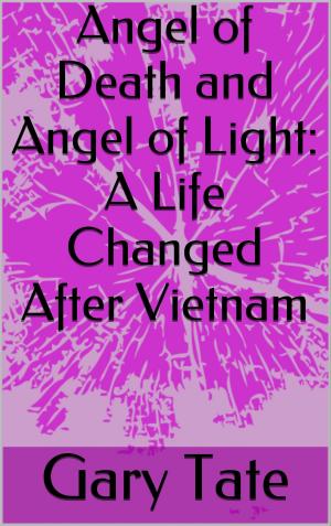Cover of the book Angel of Death and Angel of Light: A Changed Life After Vietnam by Mauro Serio
