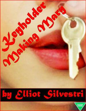 Cover of the book Keyholder: Making Mary by Elliot Silvestri, Grace Vilmont