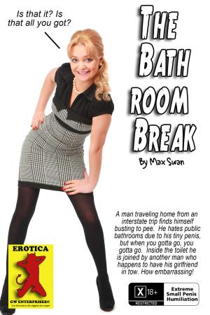 Cover of the book The Bathroom Break by Max Swan