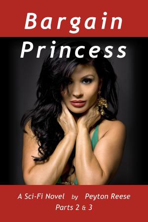 Book cover of Bargain Princess Parts 2 & 3