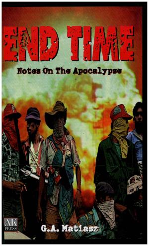 Cover of the book End Time: Notes on the Apocalypse by Bill Smith