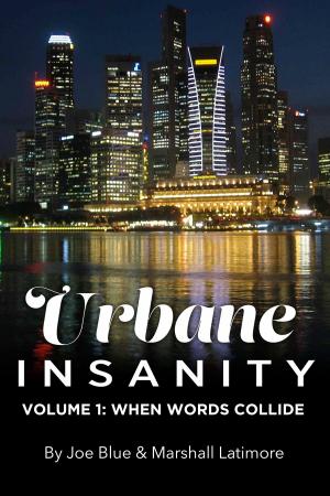 Book cover of Urbane Insanity Vol.1: When Words Collide