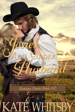 Book cover of Josie's Mail Order Husband (Montana Prairie Brides, Book 2)
