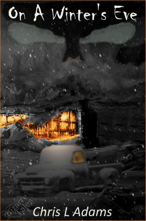 Cover of the book On a Winter's Eve by Quinn Dallas