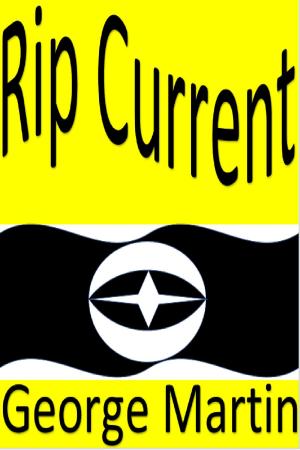 Cover of Ripcurrent
