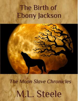 Cover of the book The Birth of Ebony Jackson by lost lodge press