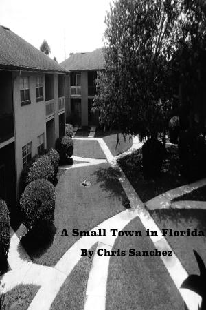 Cover of the book A Small Town in Florida by Jean Lorrah