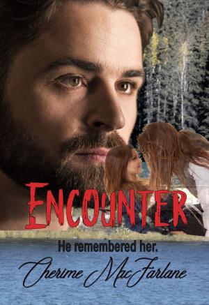 bigCover of the book Encounter by 