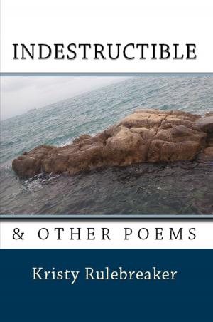 Cover of the book Indestructible & Other Poems by Steve Mollmann, Michael Schuster