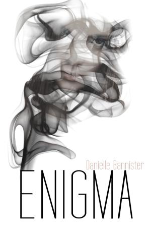 Cover of the book Enigma by Author Terri D