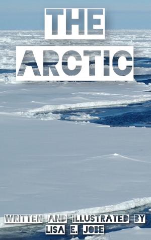 Book cover of The Arctic