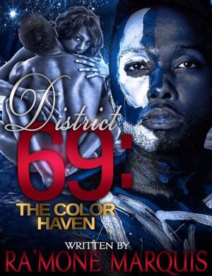 Cover of the book District 69: The Color Haven by Adina Stevens