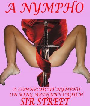 bigCover of the book A Connecticut Nympho on King Arthur’s Crotch 5: Sir Street by 