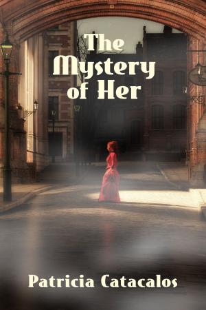 bigCover of the book The Mystery of Her: Book 1 in the Zane Brothers Detective Series by 