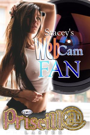 Cover of the book Stacey's WebCam Fan by Priscilla Laster