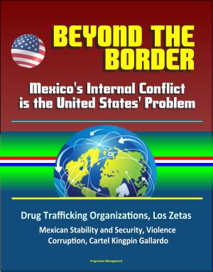 Cover of Beyond the Border: Mexico's Internal Conflict is the United States' Problem - Drug Trafficking Organizations, Los Zetas, Mexican Stability and Security, Violence, Corruption, Cartel Kingpin Gallardo