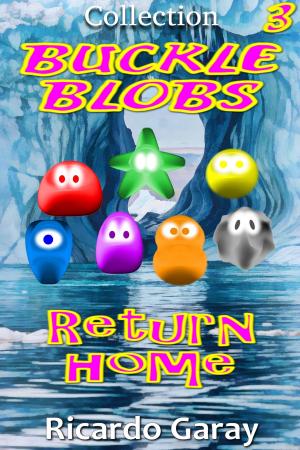 Cover of the book Return home by Ricardo Garay