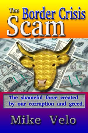 Cover of the book The Border Crisis Scam by Nana Awere Damoah