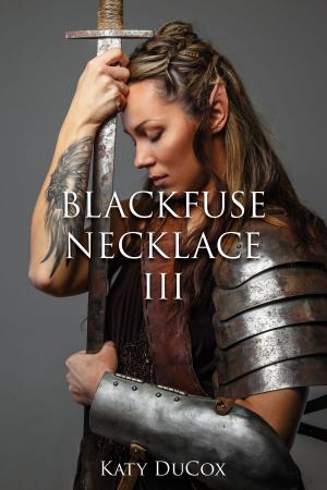 bigCover of the book Blackfuse Necklace III by 