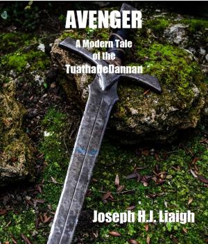 Cover of Avenger; A Modern Tale of the Tuatha DeDannan